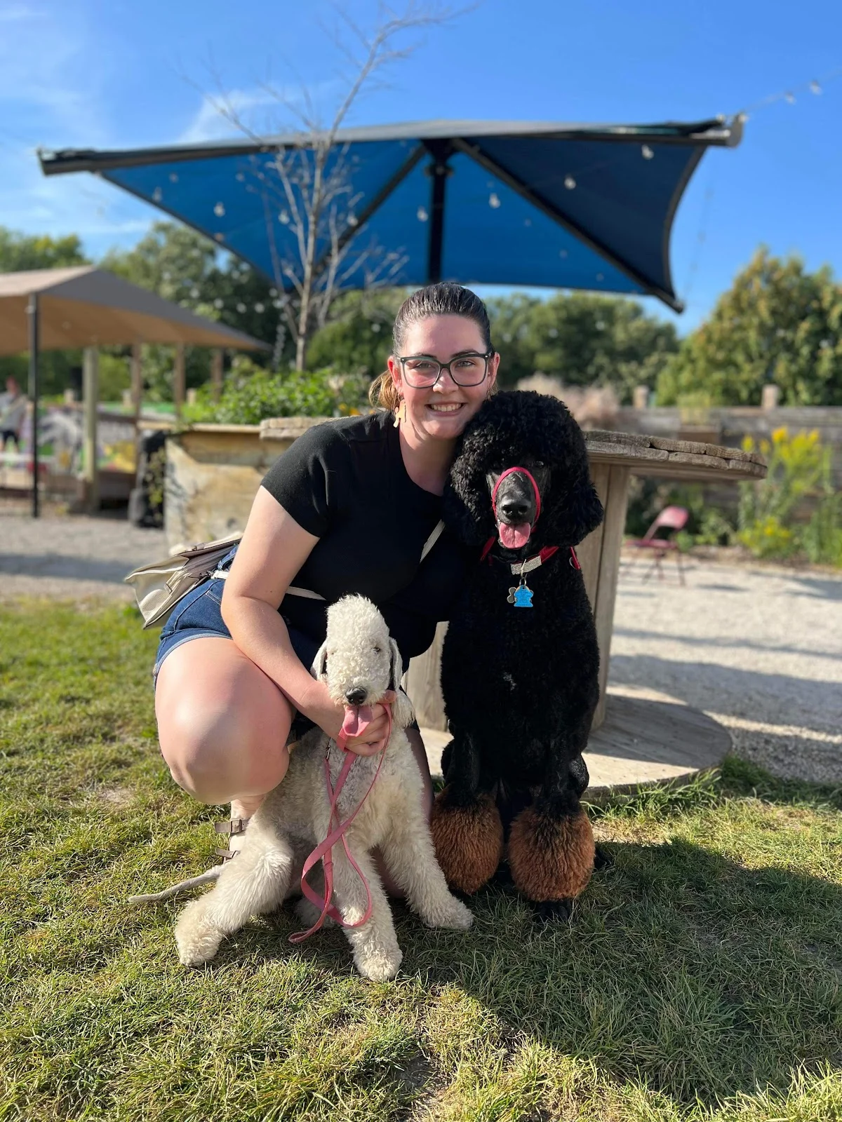 Hannah with Cricket and Dino at the park